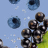 WAKA EZ - Blueberry Blackcurrant